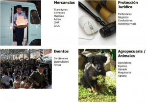 Seguros generales